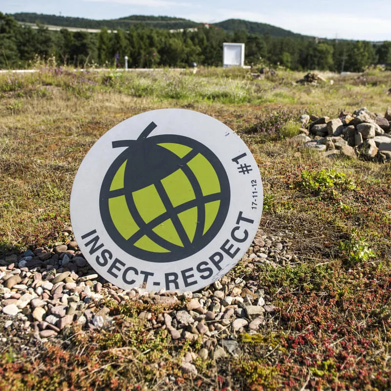INSECT-RESPECT News Sommer 26